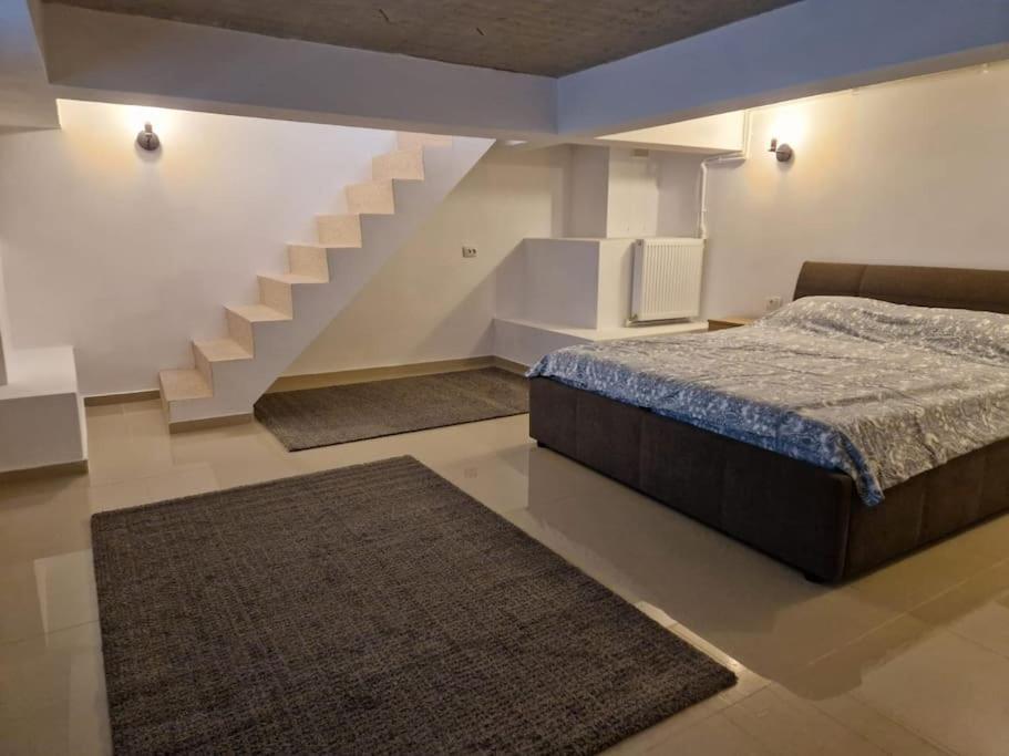 Danube Double Appartement Brăila Buitenkant foto