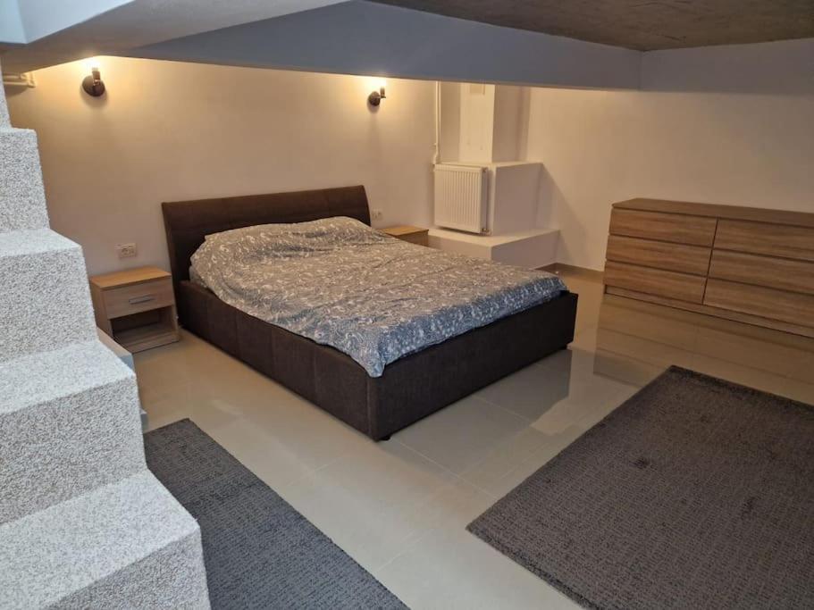 Danube Double Appartement Brăila Buitenkant foto